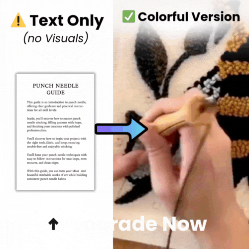 Upgrade To 1,000+ Colorful Beginner Friendly Notes
